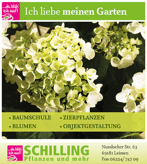 Blumen Grabpflege Schilling Leimen bei Heidelberg